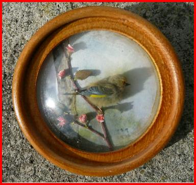 Green Finch